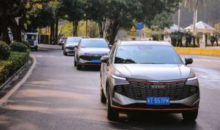 双城生活经典语录